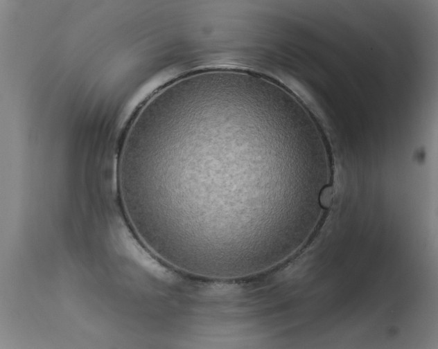 X0000113291238200909211056