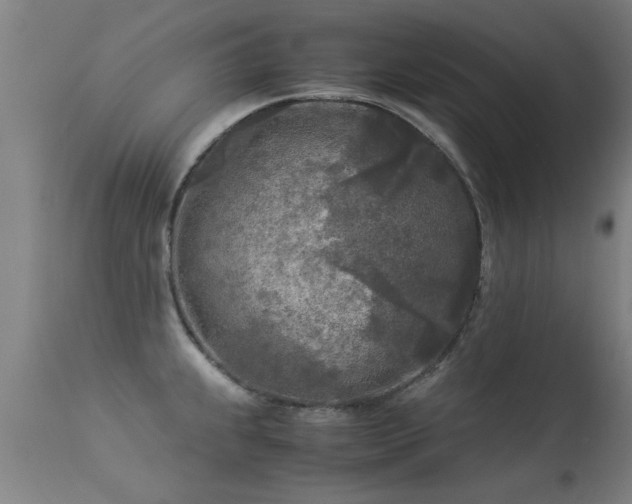 X0000113291239200909211056