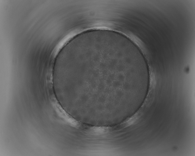 X0000113291240200909211056