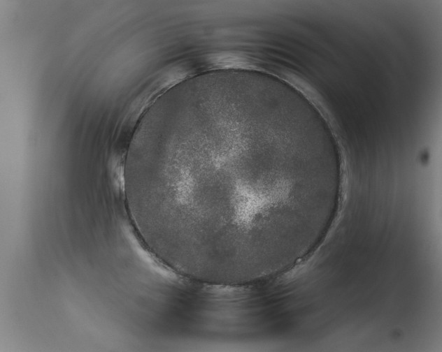 X0000113291241200909211056