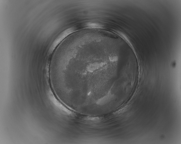 X0000113291243200909211056