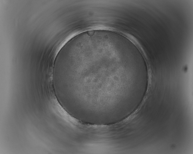 X0000113291244200909211056