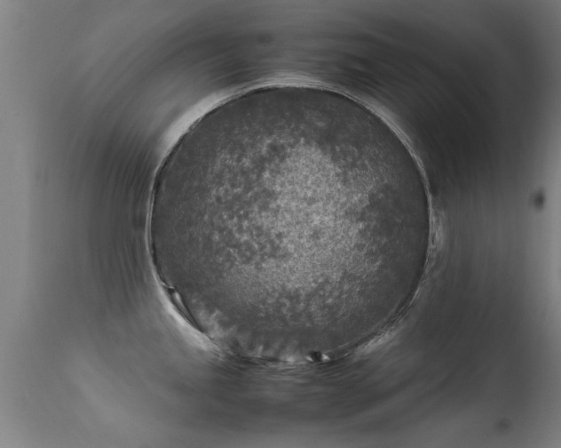 X0000113291245200909211056