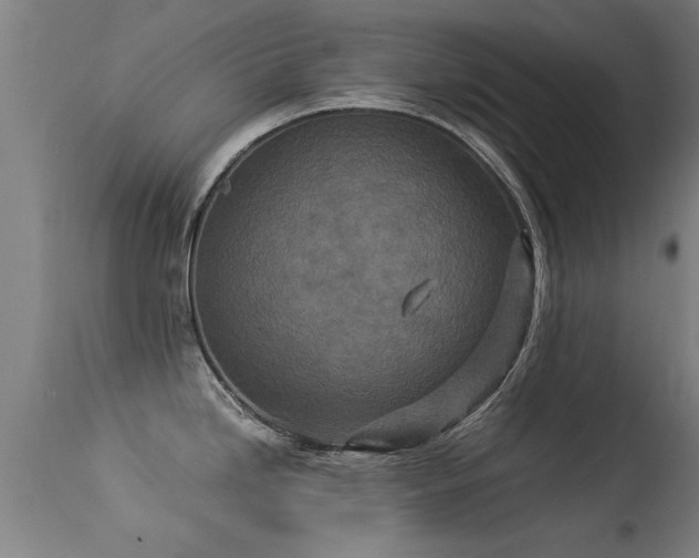 X0000113291246200909211056