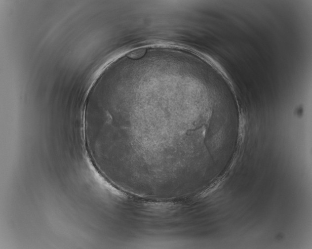 X0000113291247200909211056