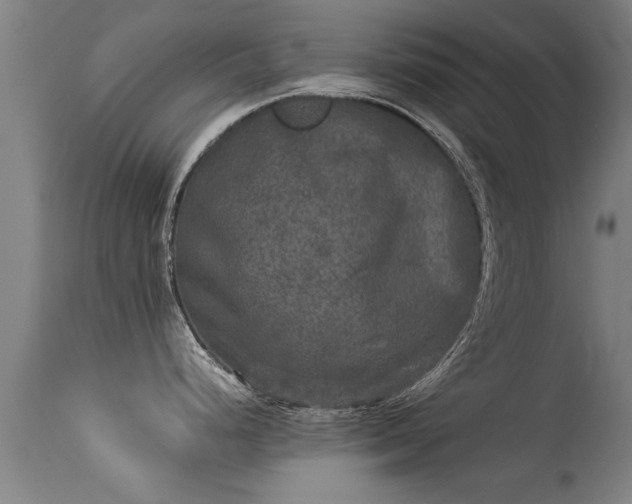 X0000113291248200909211056