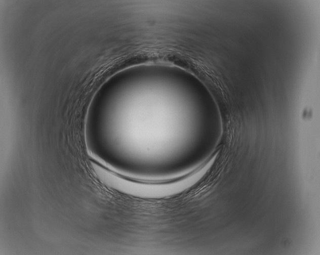 X0000113291249200909211056