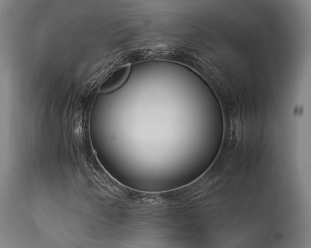 X0000113291250200909211055