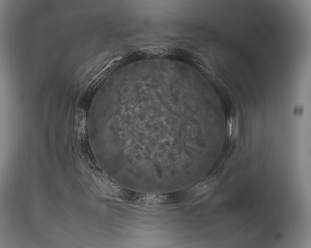 X0000113291251200909211055