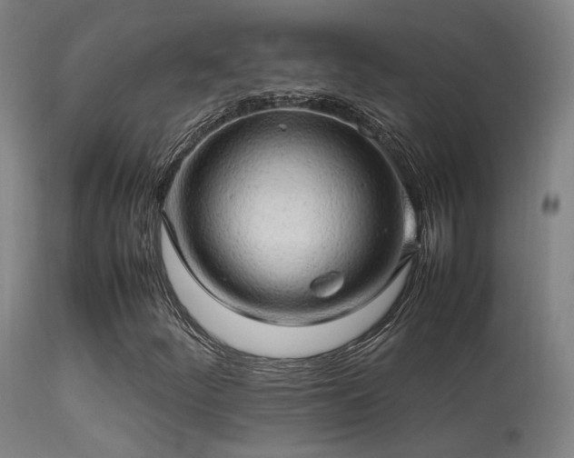 X0000113291252200909211055