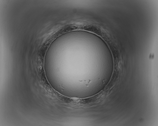 X0000113291253200909211055