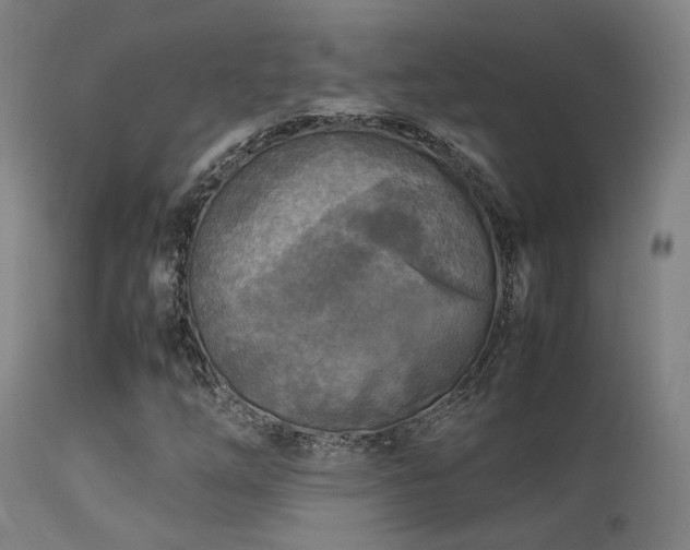 X0000113291254200909211055