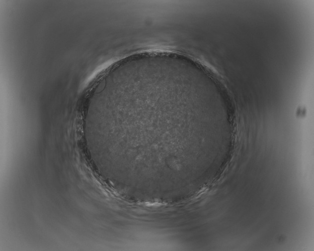 X0000113291255200909211055