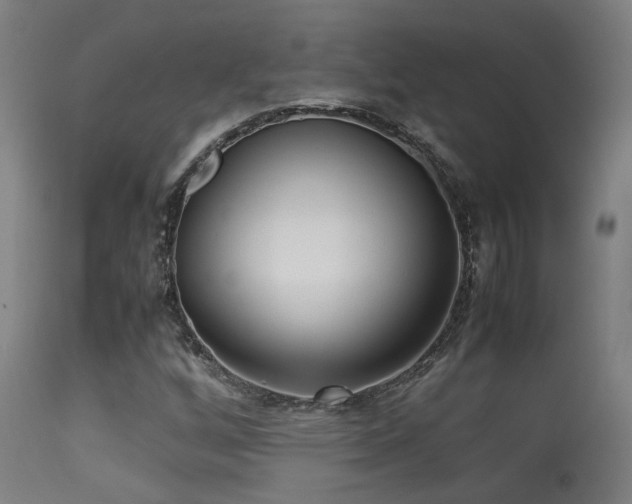 X0000113291256200909211055