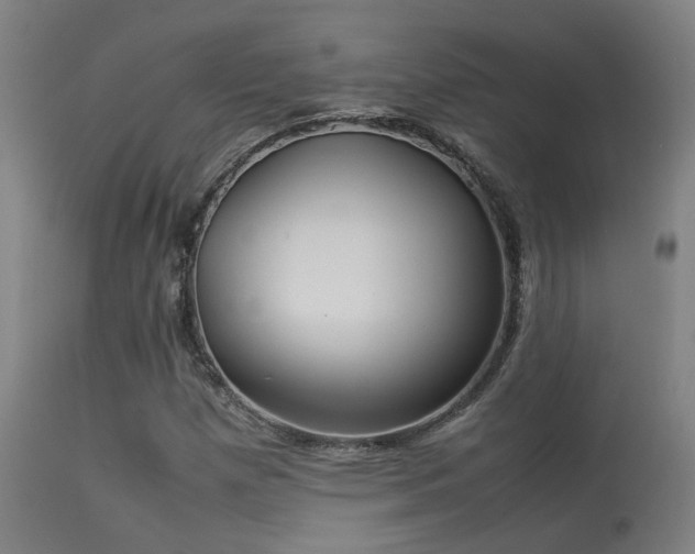 X0000113291257200909211055