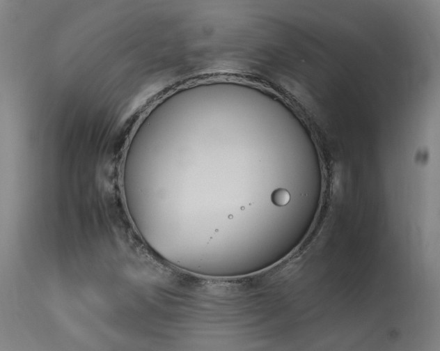 X0000113291258200909211055