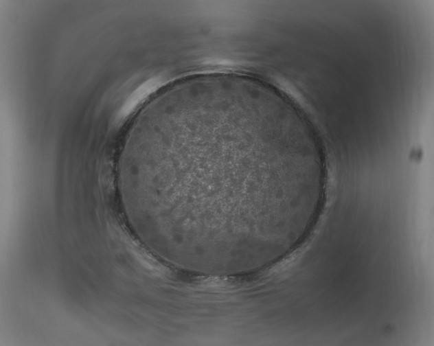 X0000113291259200909211055