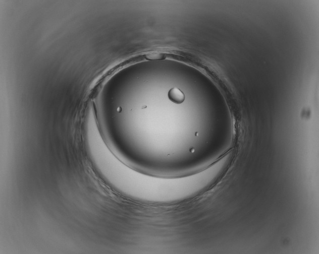 X0000113291260200909211055