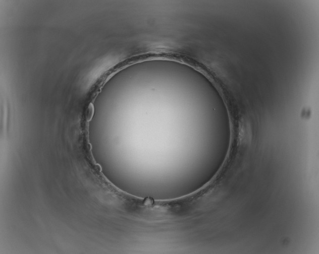 X0000113291261200909211055