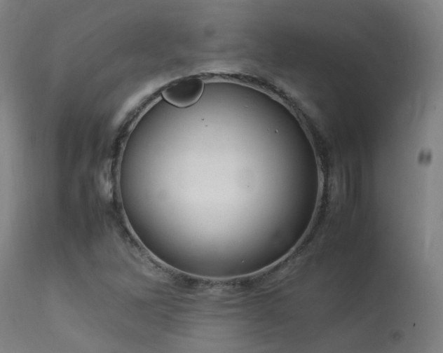 X0000113291262200909211055