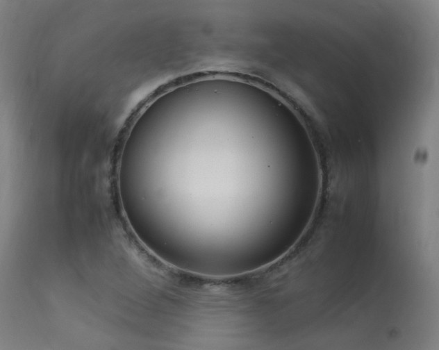 X0000113291264200909211055