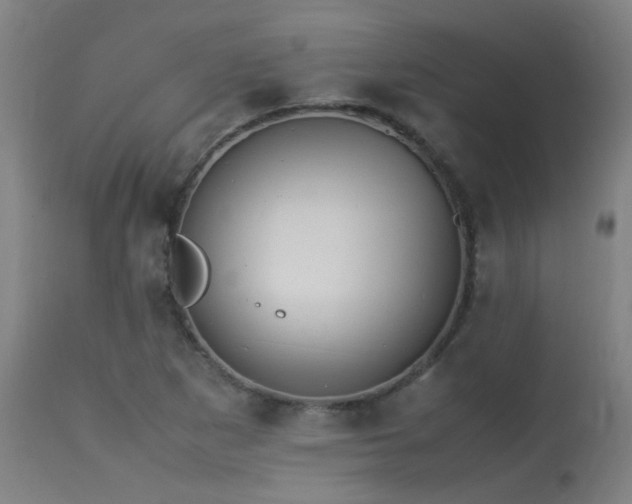 X0000113291265200909211055