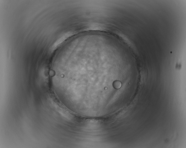 X0000113291266200909211055