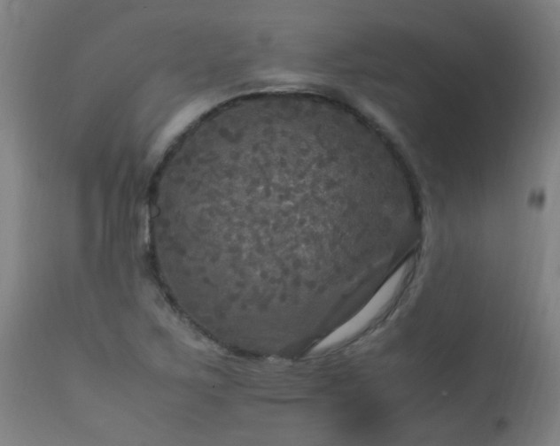 X0000113291267200909211055