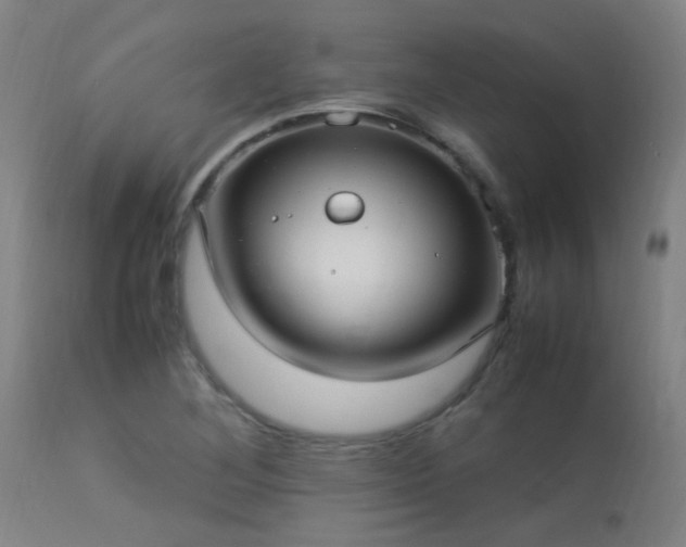 X0000113291268200909211055