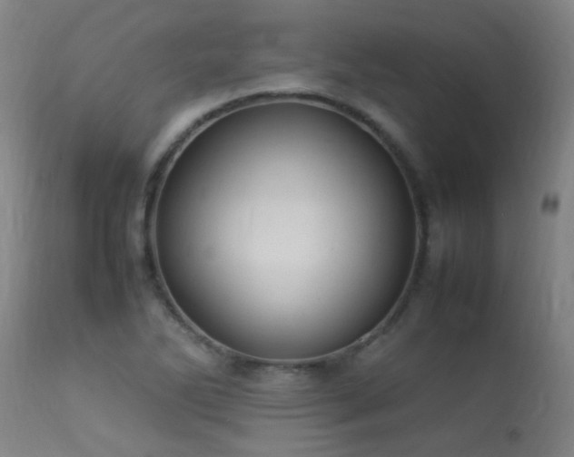 X0000113291270200909211055