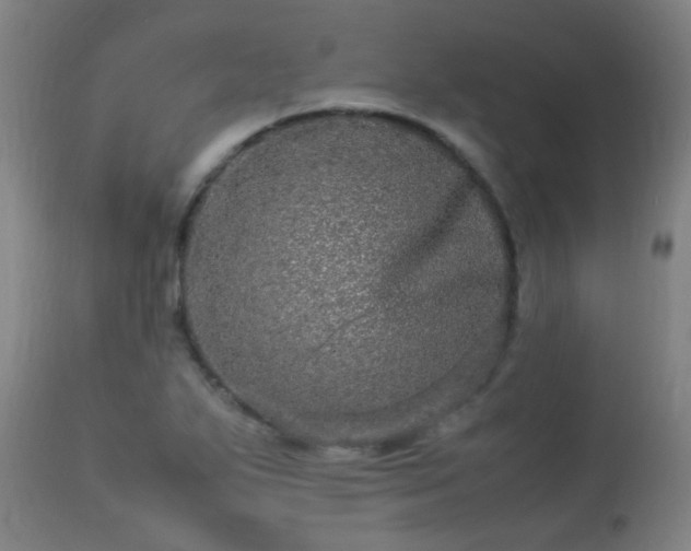 X0000113291271200909211055