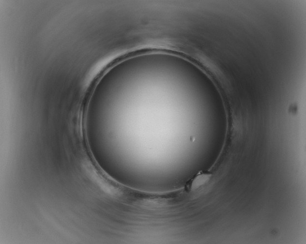 X0000113291272200909211055