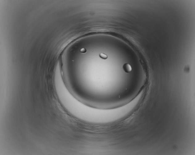 X0000113291273200909211055