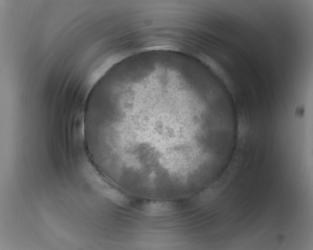 X0000113291274200909211055