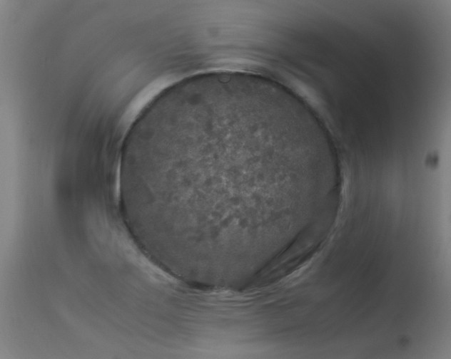 X0000113291275200909211055