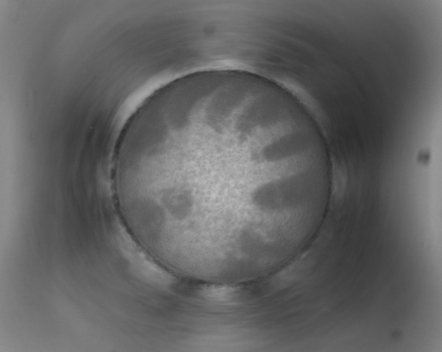 X0000113291278200909211055