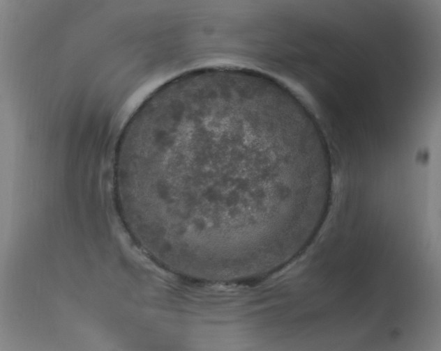 X0000113291279200909211055