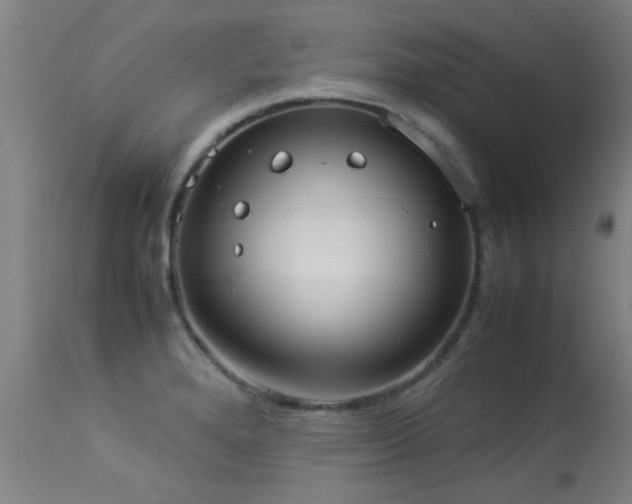 X0000113291280200909211055