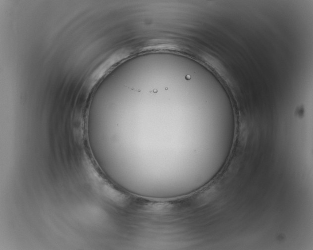 X0000113291282200909211055