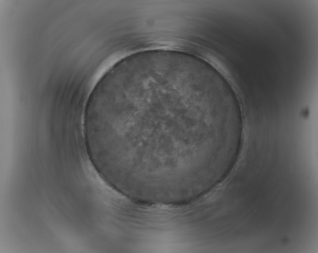 X0000113291283200909211055