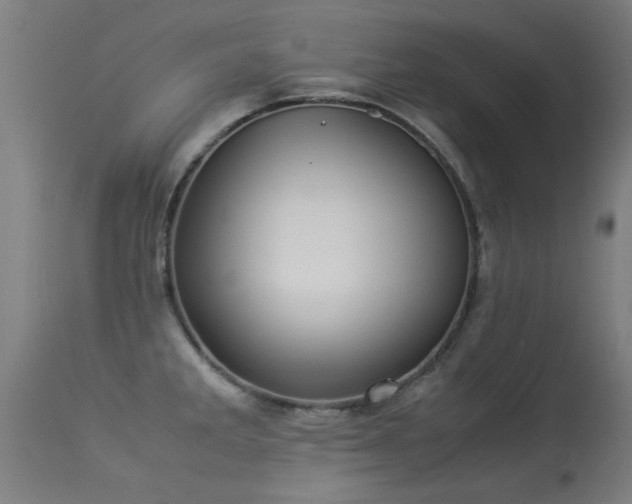 X0000113291285200909211055