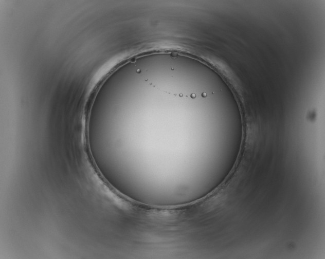 X0000113291286200909211055