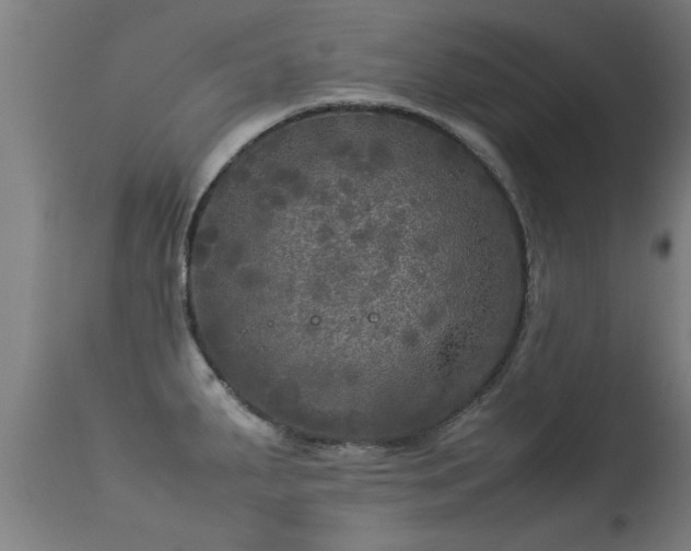 X0000113291287200909211055