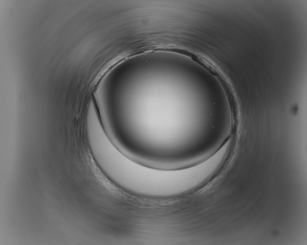 X0000113291289200909211055