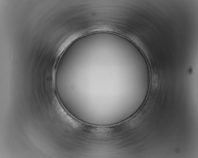 X0000113291290200909211055