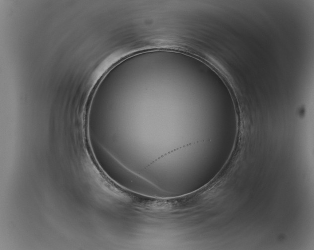 X0000113291291200909211055