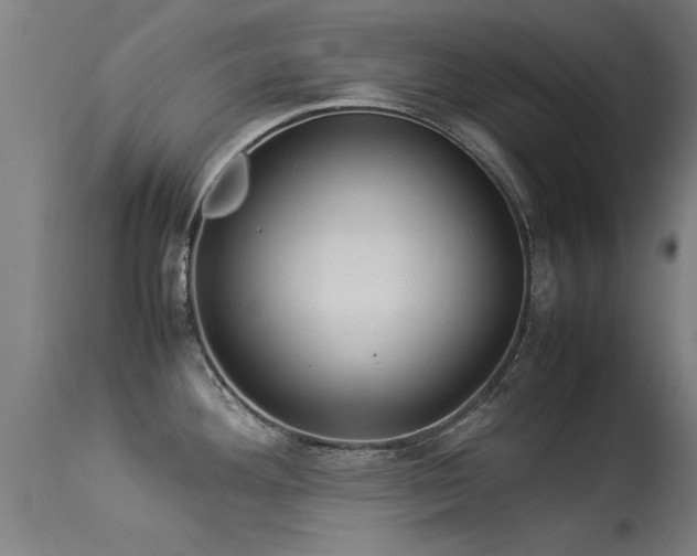 X0000113291292200909211055