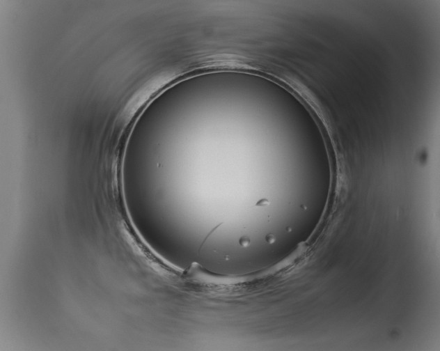 X0000113291293200909211055