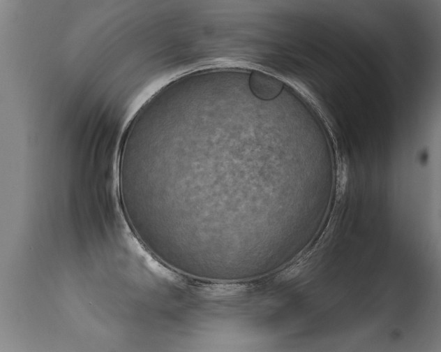 X0000113291294200909211055