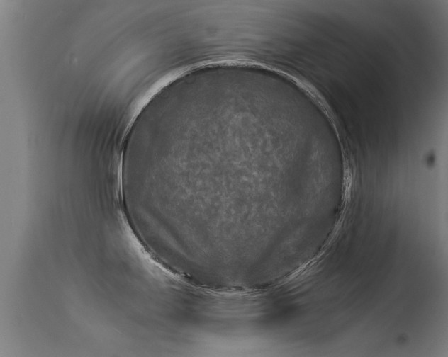 X0000113291295200909211055